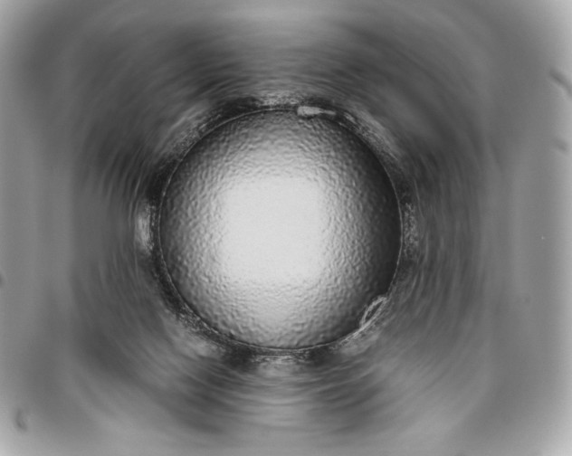 X0000096420074200802071712