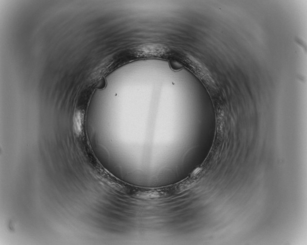 X0000096420075200802071712