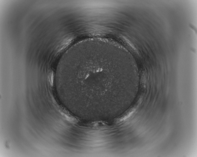 X0000096420076200802071712