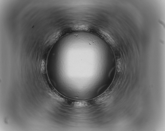 X0000096420077200802071712