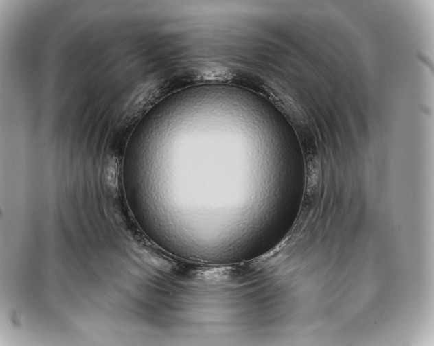 X0000096420078200802071712