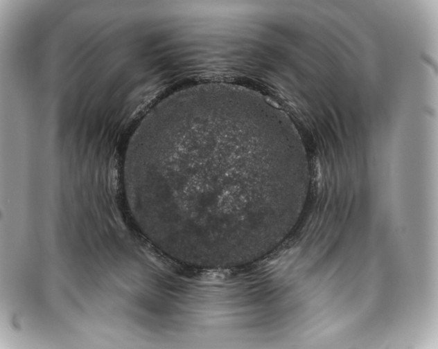 X0000096420080200802071712