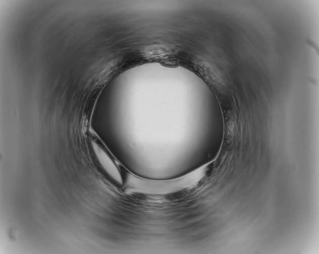 X0000096420081200802071712