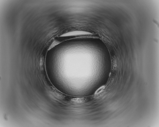 X0000096420082200802071712