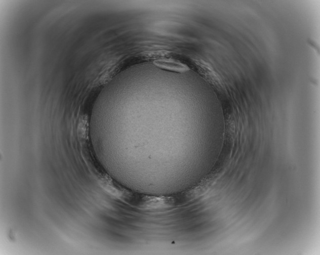 X0000096420083200802071712