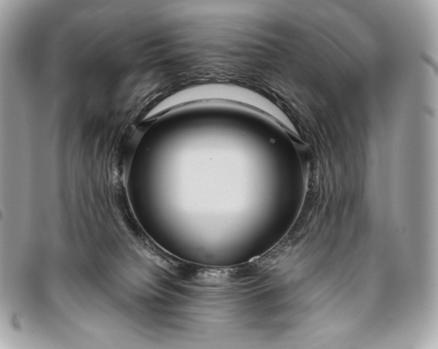 X0000096420084200802071712