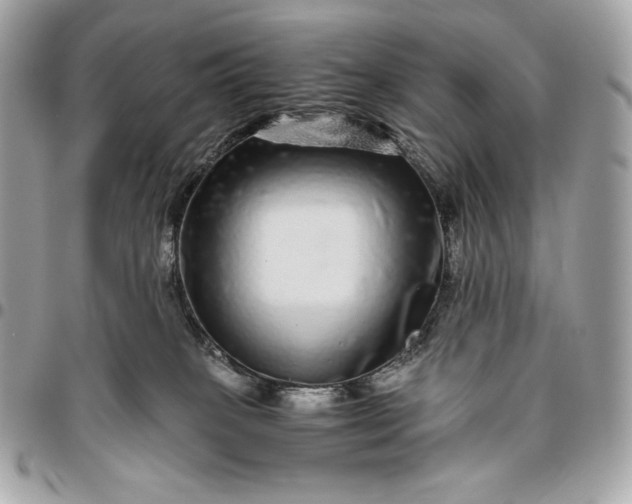 X0000096420085200802071712