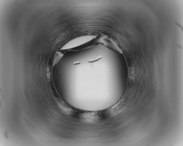 X0000096420086200802071712