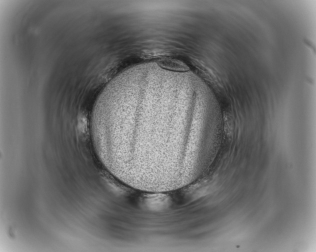 X0000096420087200802071712