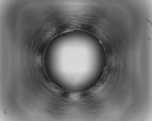 X0000096420088200802071712