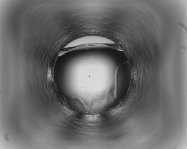 X0000096420089200802071712