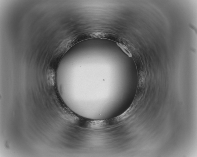 X0000096420090200802071712