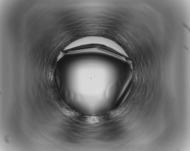 X0000096420091200802071712