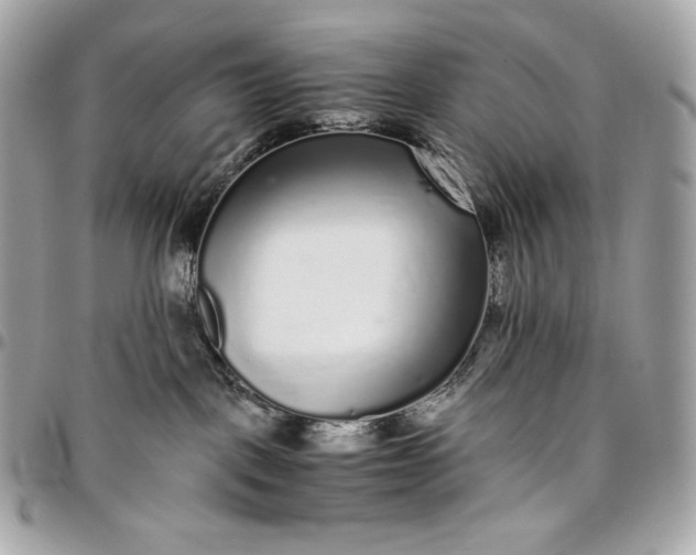 X0000096420093200802071712