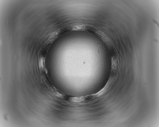 X0000096420094200802071713