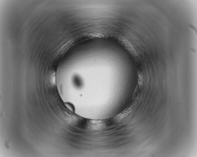 X0000096420095200802071713