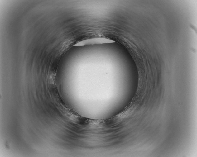 X0000096420096200802071713