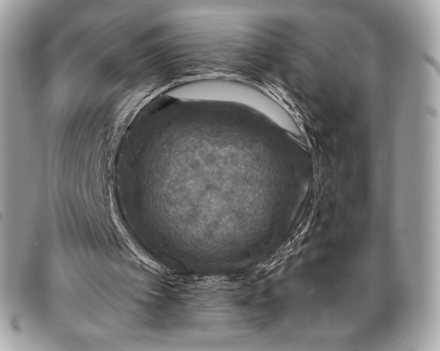 X0000096420097200802071712