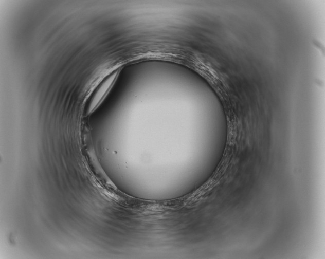 X0000096420098200802071712