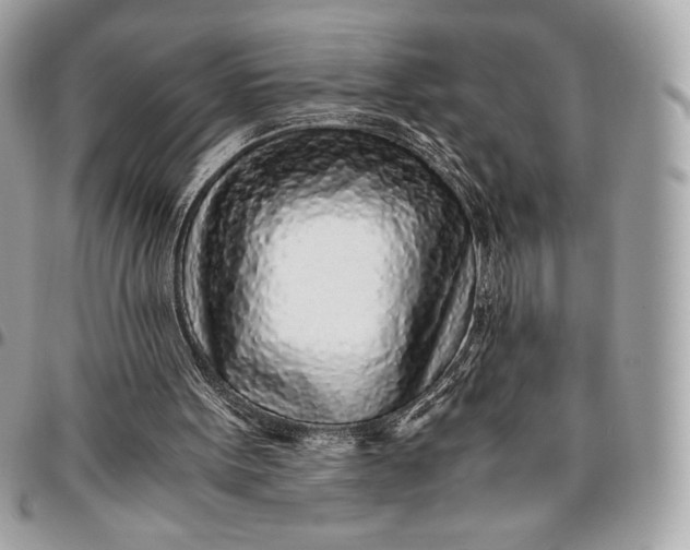 X0000096420099200802071712