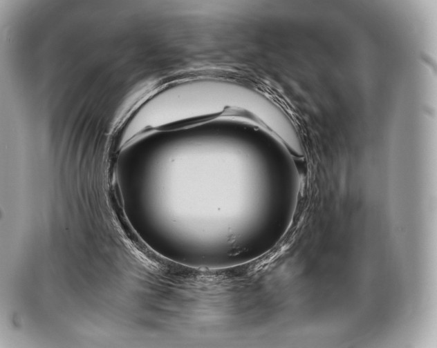 X0000096420101200802071712