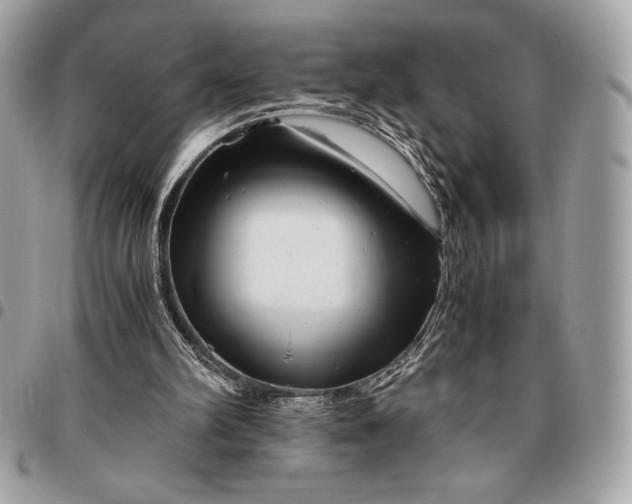 X0000096420102200802071712