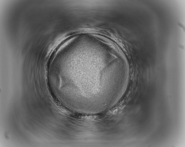 X0000096420103200802071712