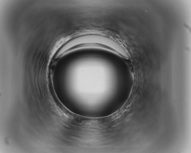 X0000096420104200802071712