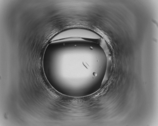 X0000096420105200802071712