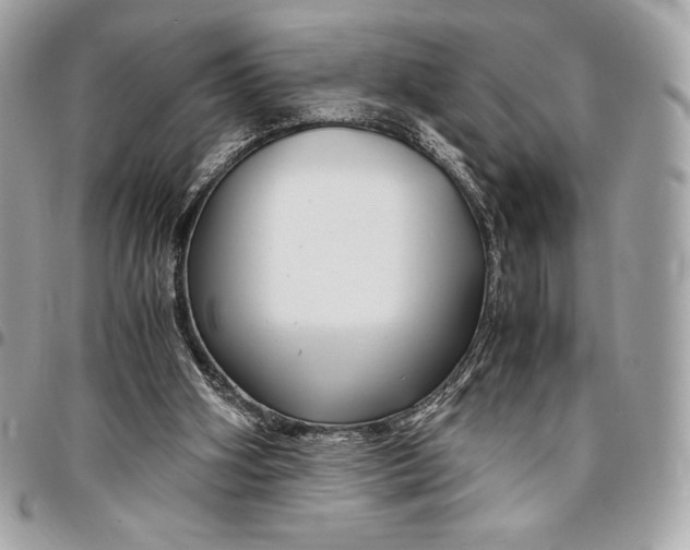 X0000096420106200802071712