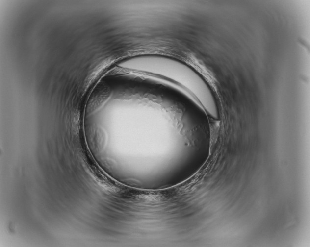 X0000096420107200802071712