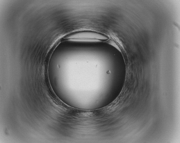 X0000096420108200802071712