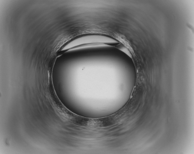 X0000096420109200802071712