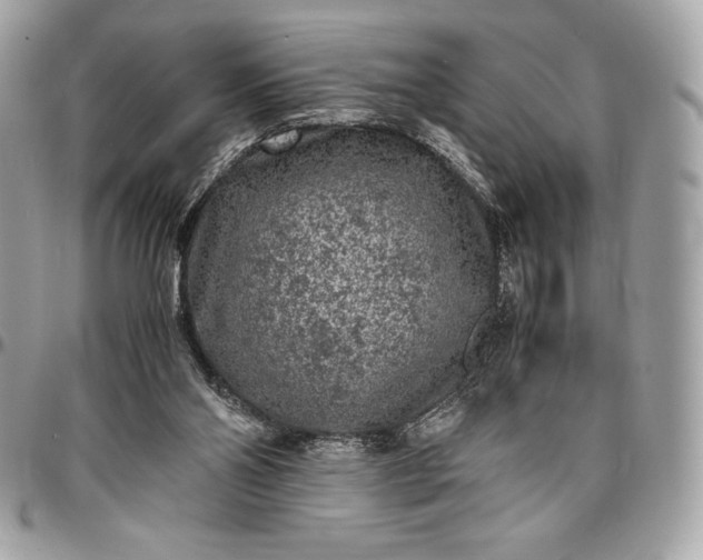 X0000096420110200802071712