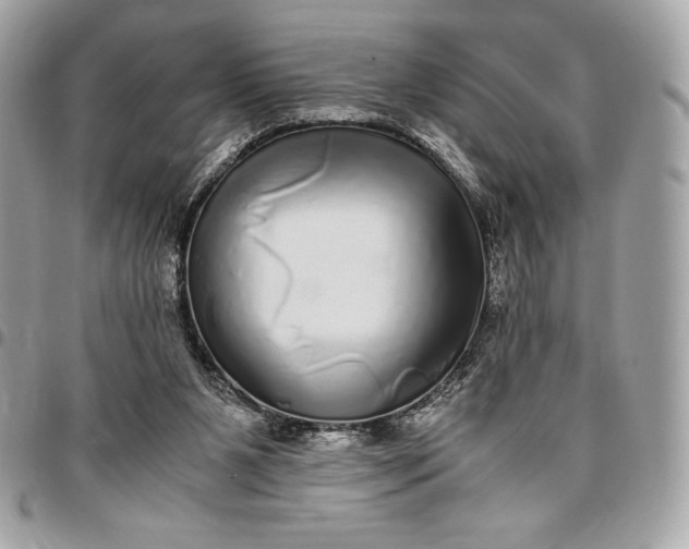 X0000096420111200802071712