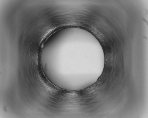 X0000096420112200802071711