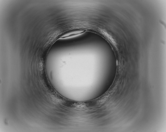 X0000096420113200802071711