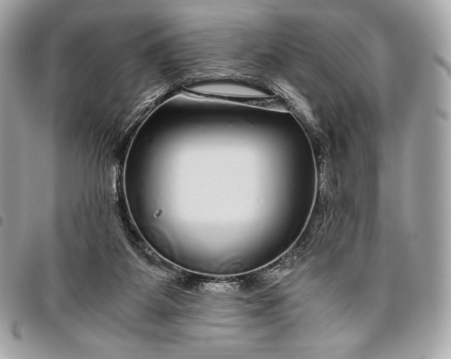 X0000096420115200802071711