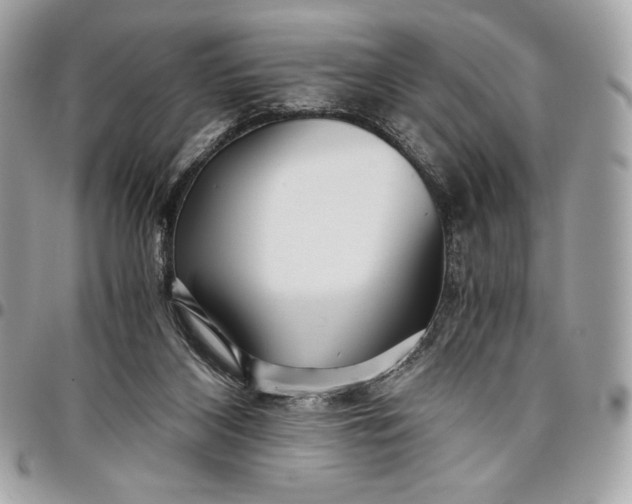 X0000096420116200802071711