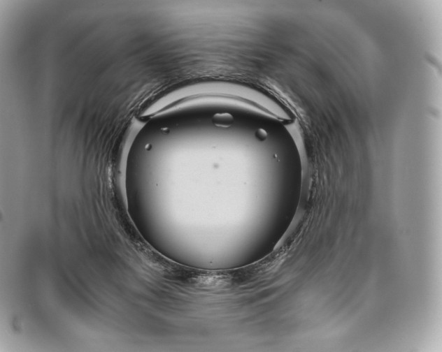 X0000096420117200802071711