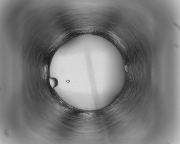 X0000096420118200802071711