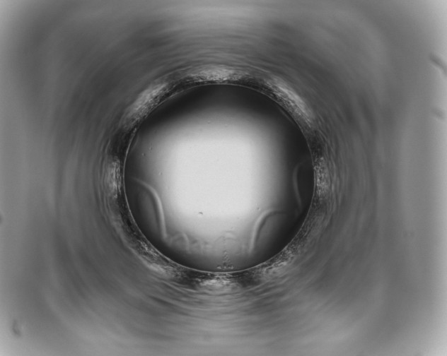 X0000096420119200802071711