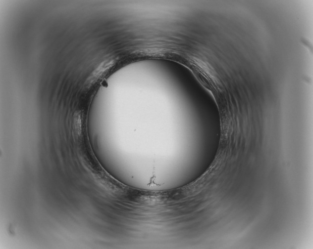 X0000096420120200802071711