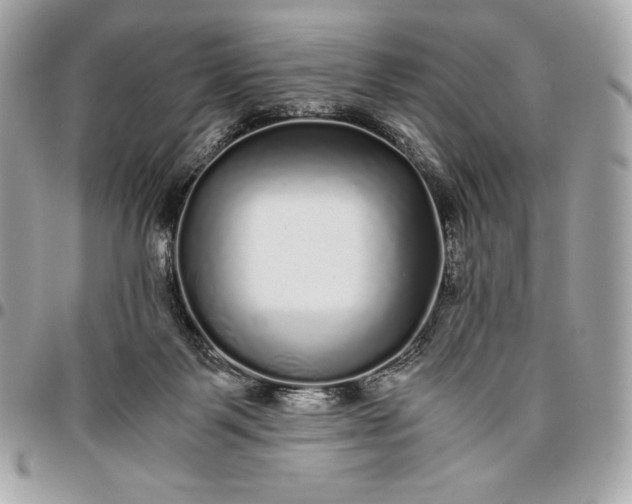 X0000096420123200802071711