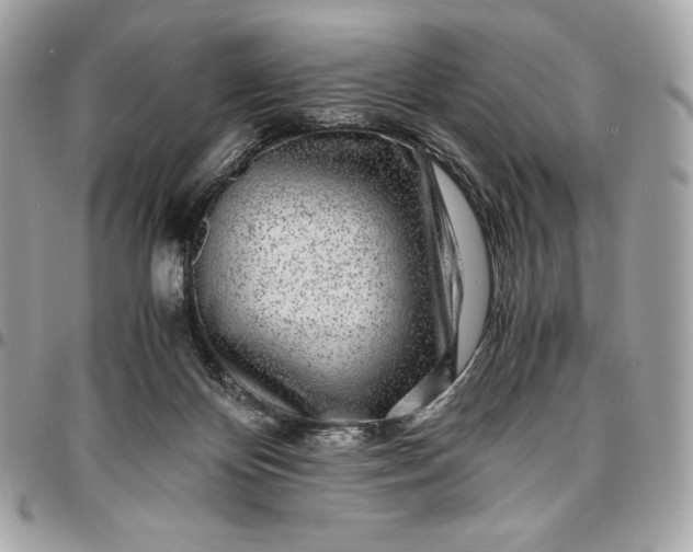 X0000096420124200802071711