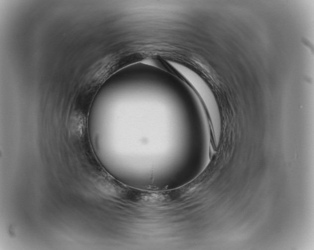 X0000096420125200802071711