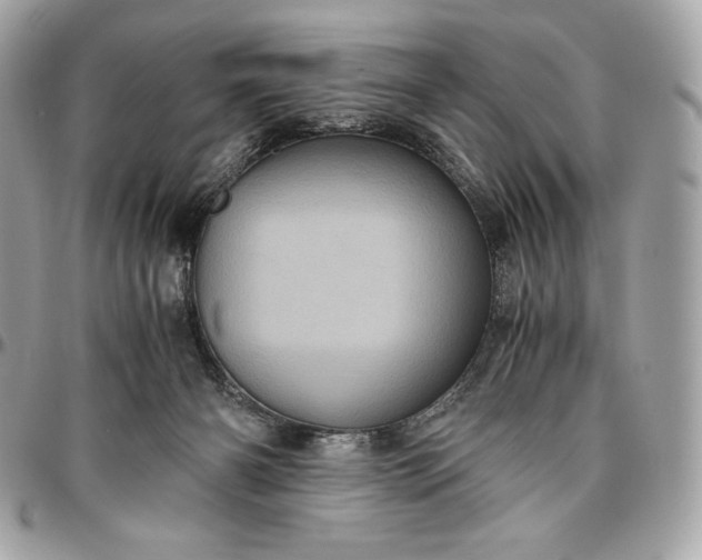 X0000096420126200802071711