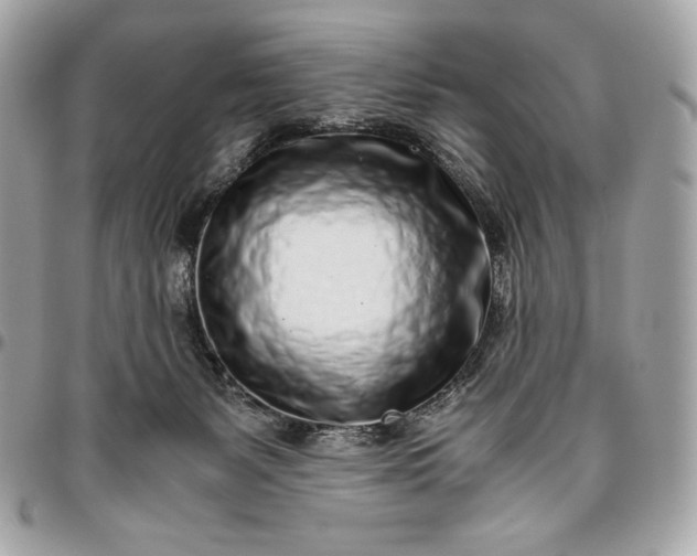 X0000096420127200802071711