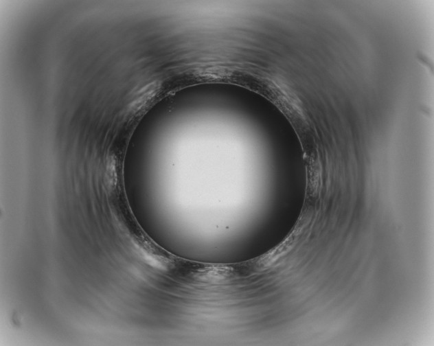 X0000096420128200802071711