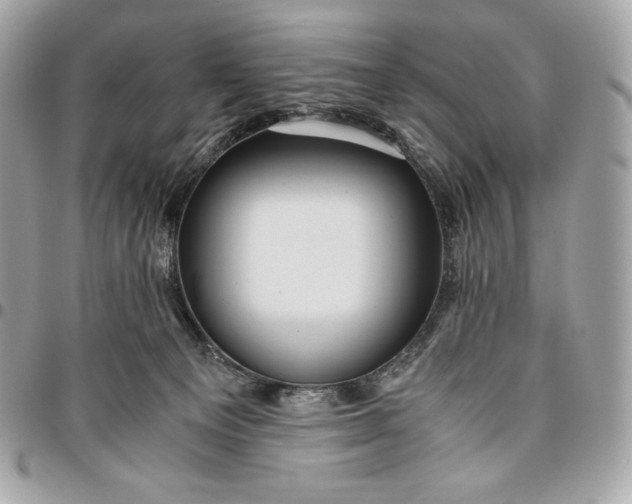 X0000096420129200802071711